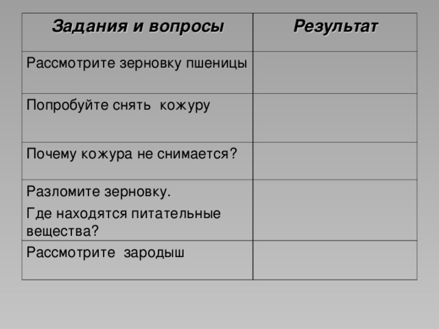 Задания и вопросы Результат Рассмотрите зерновку пшеницы Попробуйте снять кожуру Почему кожура не снимается? Разломите зерновку. Где находятся питательные вещества? Рассмотрите зародыш 