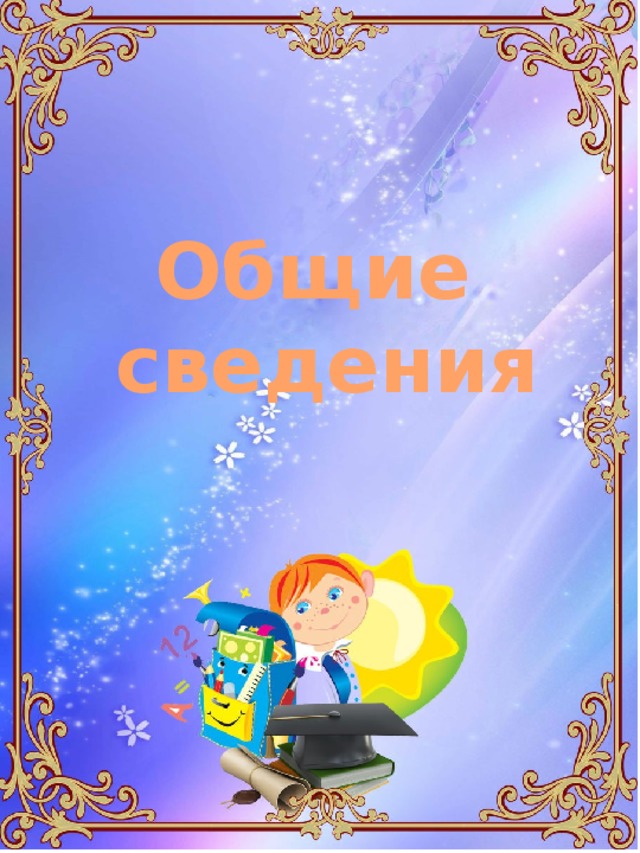 Общие сведения 