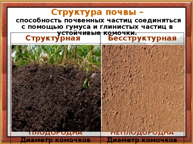 Структура почвы –  способность почвенных частиц соединяться с помощью гумуса и глинистых частиц в устойчивые комочки.  Структурная Состоит из маленьких комочков, рыхлая, влажная, имеет зернисто-комковатую структуру . Бесструктурная Состоит из мелких раздробленных Перегной. ПЛОДОРОДНА пылеватых частиц. Подвержена смыву водой Хорошо растут растения. Диаметр комочков почвы НЕПЛОДОРОДНА Корни получают достаточно воздуха и влаги. и выдуванию. Диаметр комочков менее 10 мм достигает 10 мм   