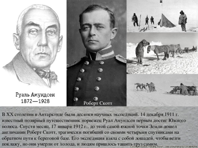 Роберт Скотт В XX столетии в Антарктиде были десятки научных экспедиций. 14 декабря 1911 г. известный полярный путешественник норвежец Руал Амундсен первым достиг Южного полюса. Спустя месяц, 17 января 1912 г., до этой самой южной точки Земли дошел англичанин Роберт Скотт, трагически погибший со своими четырьмя спутниками на обратном пути к береговой базе. Его экспедиция взяла с собой лошадей, чтобы везти поклажу, но они умерли от холода, и людям пришлось тащить груз самим. 