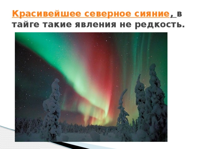 Красивейшее северное сияние , в тайге такие явления не редкость. 