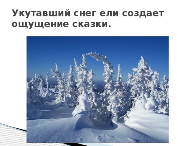 Укутавший снег ели создает ощущение сказки. 