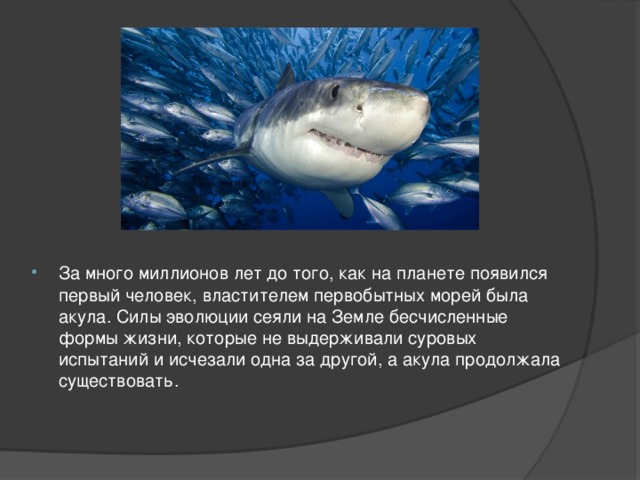 За много миллионов лет до того, как на планете появился первый человек, властителем первобытных морей была акула. Силы эволюции сеяли на Земле бесчисленные формы жизни, которые не выдерживали суровых испытаний и исчезали одна за другой, а акула продолжала существовать.  