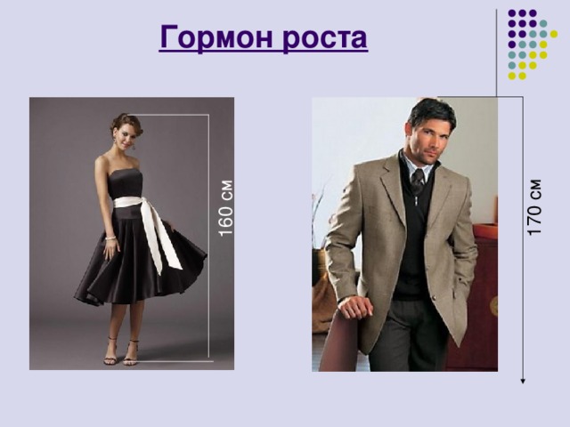 160 см 170 см Гормон роста 