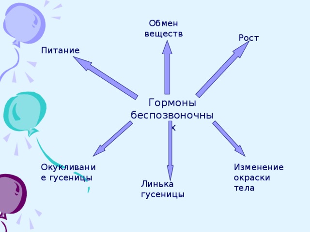 Обмен веществ Рост Питание Гормоны беспозвоночных Гормоны беспозвоночных Окукливание гусеницы Изменение окраски тела Линька гусеницы 