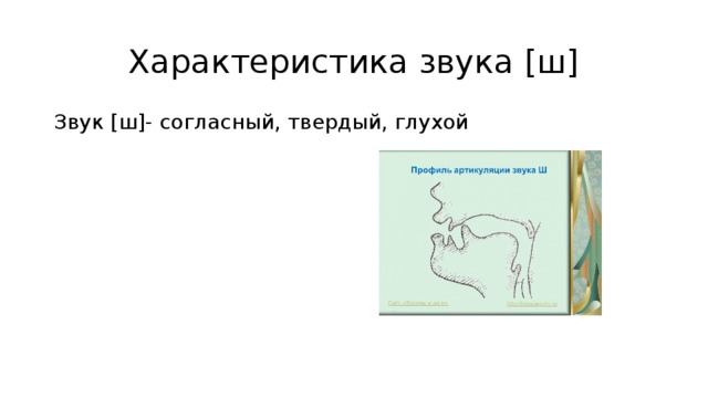 Характеристика звука [ш] Звук [ш]- согласный, твердый, глухой 