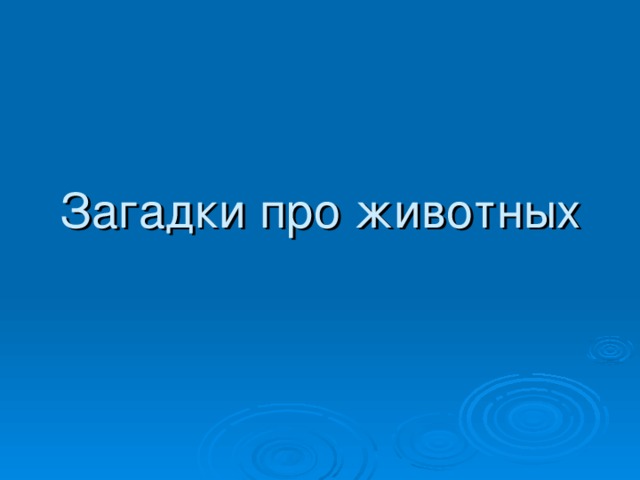 Загадки про животных 