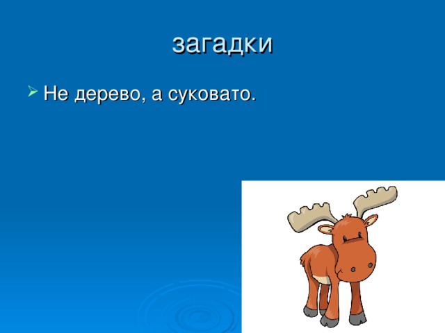загадки Не дерево, а суковато. 