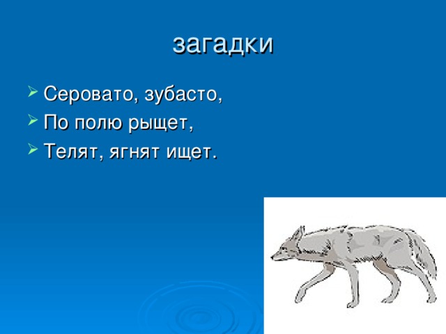 загадки Серовато, зубасто, По полю рыщет, Телят, ягнят ищет. 