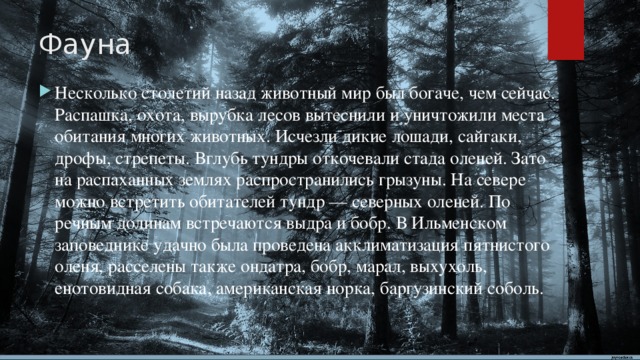 Фауна Несколько столетий назад животный мир был богаче, чем сейчас. Распашка, охота, вырубка лесов вытеснили и уничтожили места обитания многих животных. Исчезли дикие лошади, сайгаки, дрофы, стрепеты. Вглубь тундры откочевали стада оленей. Зато на распаханных землях распространились грызуны. На севере можно встретить обитателей тундр — северных оленей. По речным долинам встречаются выдра и бобр. В Ильменском заповеднике удачно была проведена акклиматизация пятнистого оленя, расселены также ондатра, бобр, марал, выхухоль, енотовидная собака, американская норка, баргузинский соболь. 