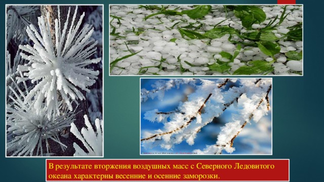 В результате вторжения воздушных масс с Северного Ледовитого океана характерны весенние и осенние заморозки. 