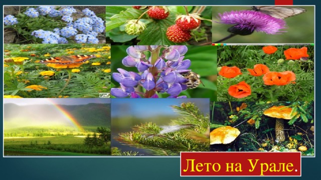 Лето на Урале . 