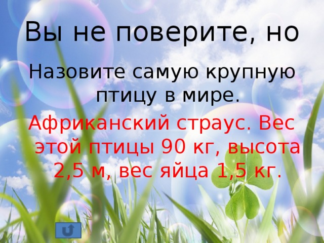 Вы не поверите, но Назовите самую крупную птицу в мире. Африканский страус. Вес этой птицы 90 кг, высота 2,5 м, вес яйца 1,5 кг.