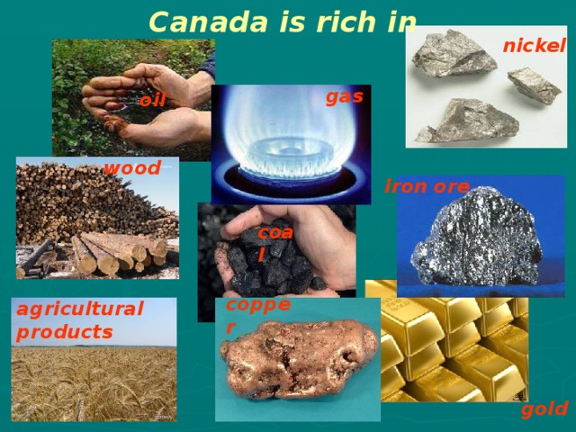 Canada is rich in nickel gas oil wood iron ore coal copper agricultural products gold 