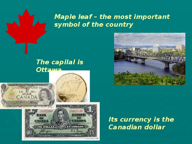 Maple leaf – the most important symbol of the country The capilal is Ottawa Its currency is the Canadian dollar  