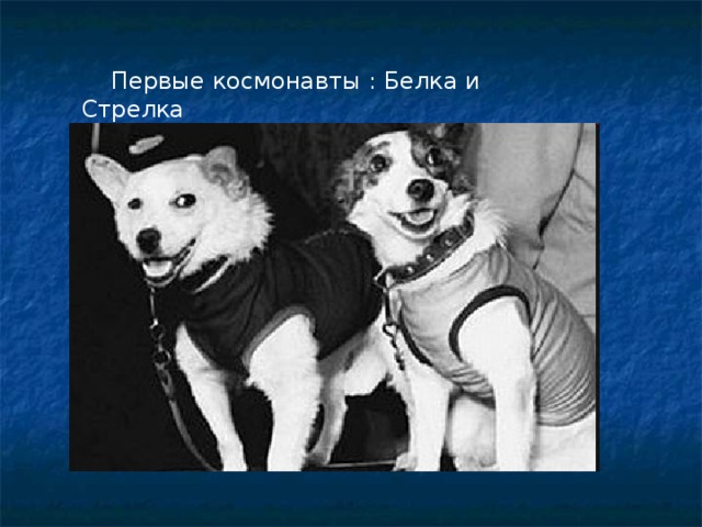  Первые космонавты : Белка и Стрелка  
