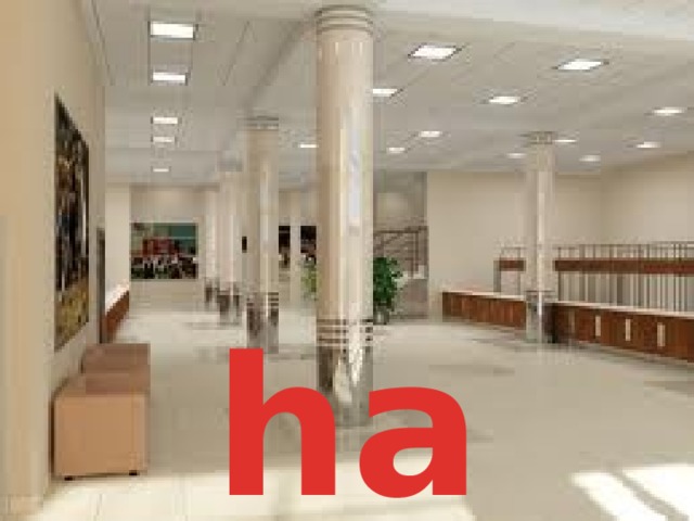 hall 