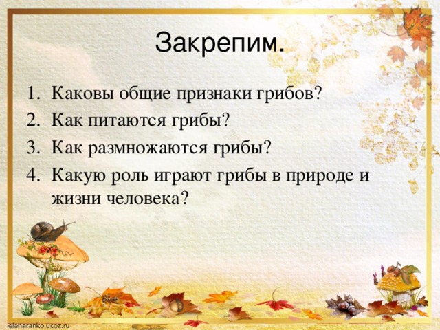 Закрепим. Каковы общие признаки грибов? Как питаются грибы? Как размножаются грибы? Какую роль играют грибы в природе и жизни человека? 