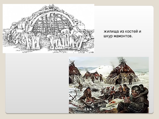 жилища из костей и шкур мамонтов. 