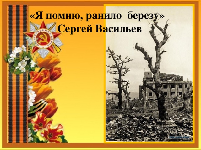    «Я помню, ранило березу»  Сергей Васильев  