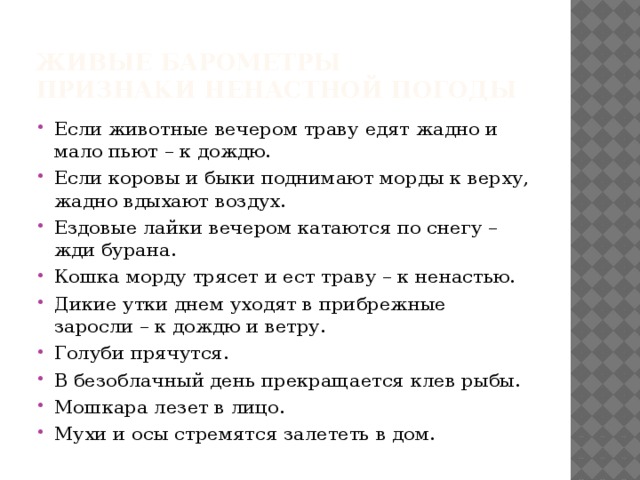 Живые барометры  Признаки ненастной погоды Если животные вечером траву едят жадно и мало пьют – к дождю. Если коровы и быки поднимают морды к верху, жадно вдыхают воздух. Ездовые лайки вечером катаются по снегу – жди бурана. Кошка морду трясет и ест траву – к ненастью. Дикие утки днем уходят в прибрежные заросли – к дождю и ветру. Голуби прячутся. В безоблачный день прекращается клев рыбы. Мошкара лезет в лицо. Мухи и осы стремятся залететь в дом. 
