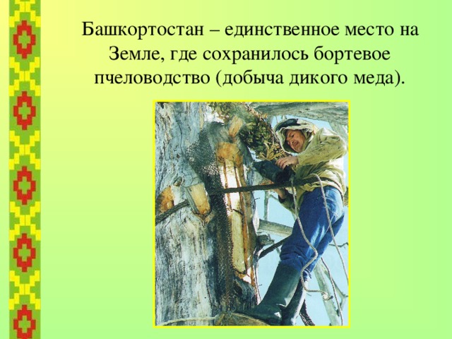 1.Башкирский дикий мед     
