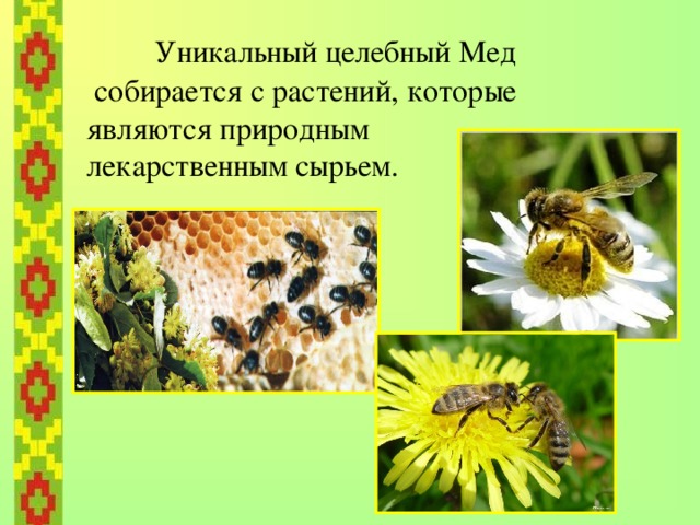 Башкортостан – единственное место на Земле, где сохранилось бортевое пчеловодство (добыча дикого меда).   