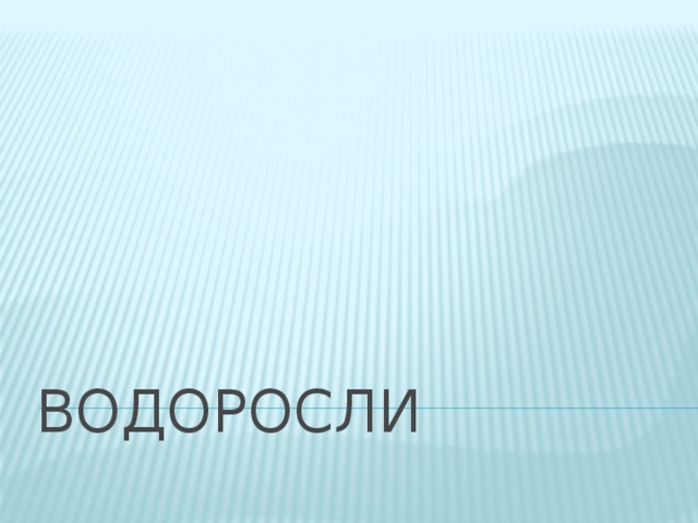 водоросли 