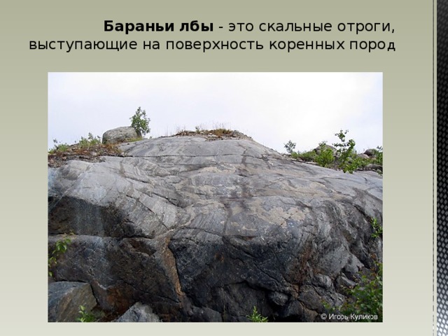 Бараньи  лбы - это скальные отроги, выступающие на поверхность коренных поро д 