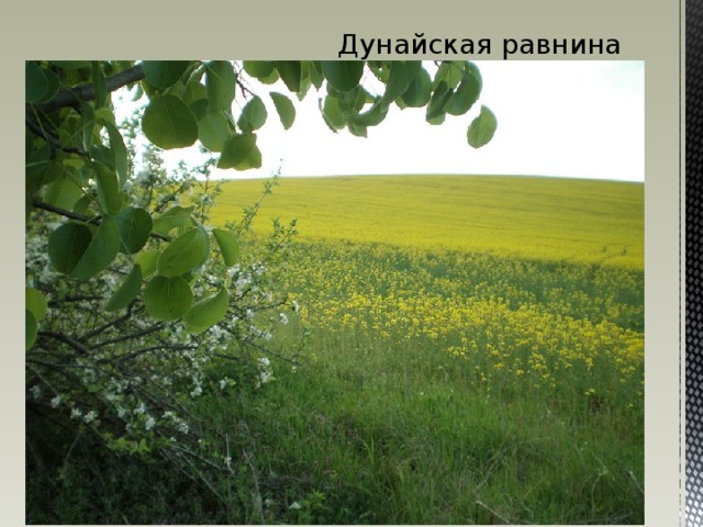Дунайская равнина 