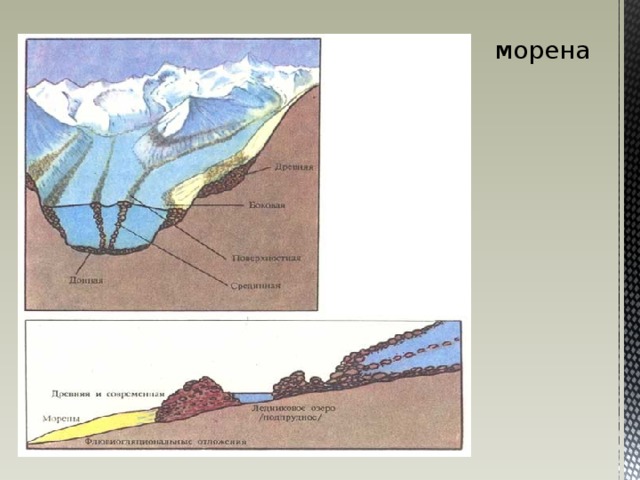 морена 