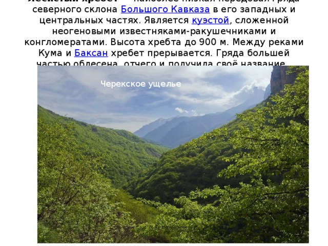 Лесистый хребет — наиболее низкая передовая гряда северного склона Большого Кавказа в его западных и центральных частях. Является куэстой , сложенной неогеновыми известняками-ракушечниками и конгломератами. Высота хребта до 900 м. Между реками Кума и Баксан хребет прерывается. Гряда большей частью облесена, отчего и получила своё название. Черекское ущелье Черекское ущелье  