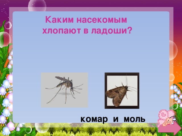 Каким насекомым хлопают в ладоши? комар и моль 
