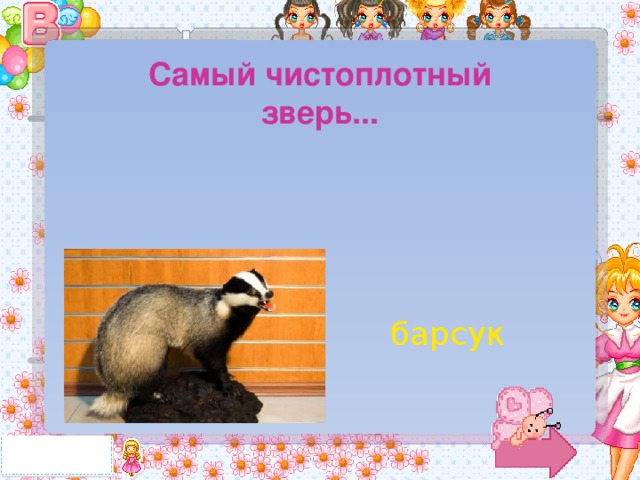 Самый чистоплотный зверь... барсук 
