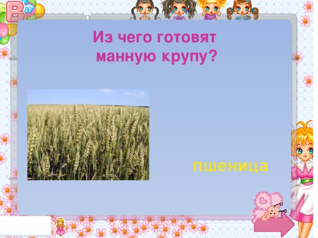 Из чего готовят манную крупу? пшеница 