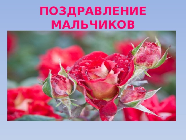 ПОЗДРАВЛЕНИЕ МАЛЬЧИКОВ 