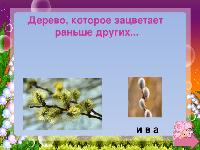 Дерево, которое зацветает раньше других... и в а 