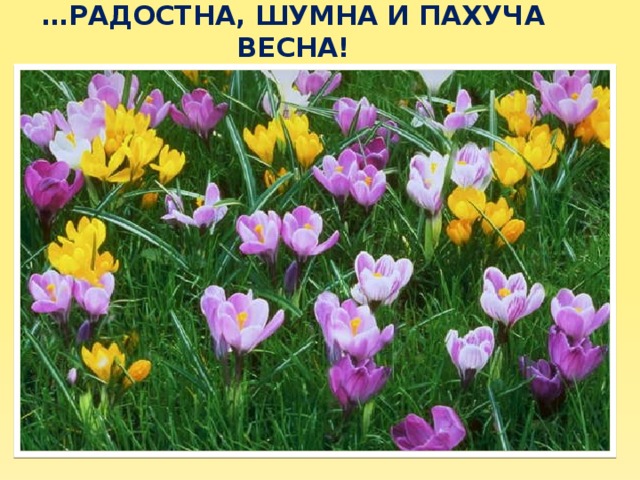 … Радостна, шумна и пахуча весна!