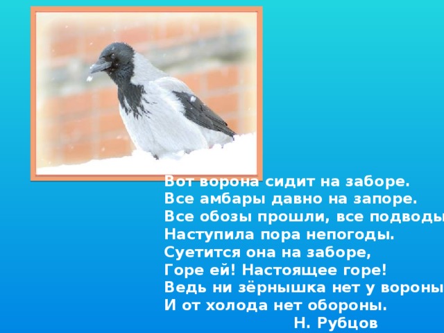 Вот ворона сидит на заборе. Все амбары давно на запоре. Все обозы прошли, все подводы. Наступила пора непогоды. Суетится она на заборе, Горе ей! Настоящее горе! Ведь ни зёрнышка нет у вороны И от холода нет обороны.  Н. Рубцов