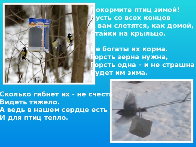 Покормите птиц зимой! Пусть со всех концов К вам слетятся, как домой, Стайки на крыльцо.  Не богаты их корма. Горсть зерна нужна, Горсть одна – и не страшна Будет им зима. Сколько гибнет их - не счесть, Видеть тяжело. А ведь в нашем сердце есть И для птиц тепло.