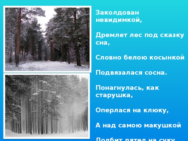 Заколдован невидимкой,  Дремлет лес под сказку сна,  Словно белою косынкой  Подвязалася сосна.  Понагнулась, как старушка,  Оперлася на клюку,  А над самою макушкой  Долбит дятел на суку.