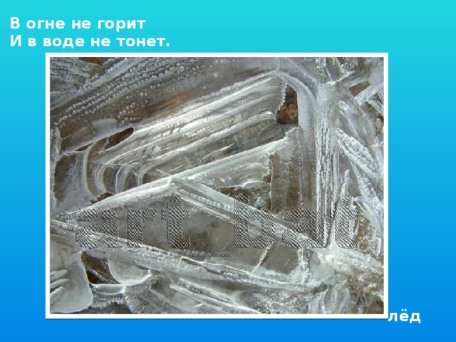 В огне не горит И в воде не тонет. лёд