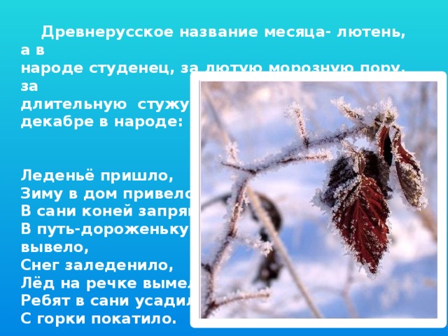 Древнерусское название месяца- лютень, а в народе студенец, за лютую морозную пору, за длительную стужу. Вот так говорили о декабре в народе:   Леденьё пришло, Зиму в дом привело, В сани коней запрягло, В путь-дороженьку вывело, Снег заледенило, Лёд на речке вымело, Ребят в сани усадило, С горки покатило.