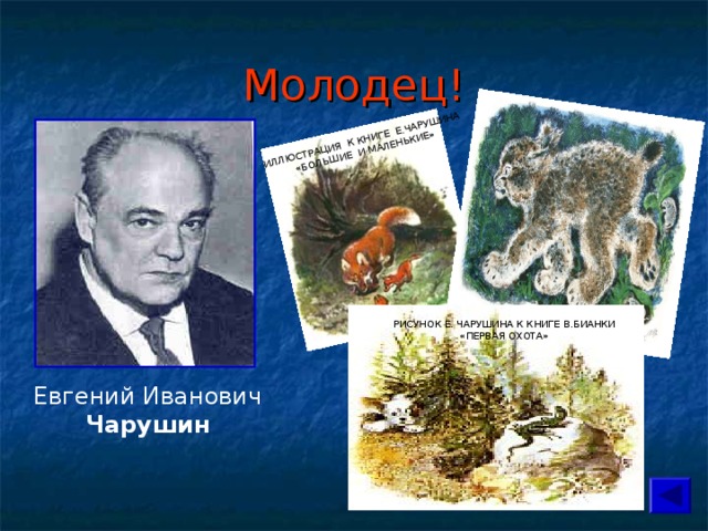 Евгений Иванович Чарушин ИЛЛЮСТРАЦИЯ К КНИГЕ Е.ЧАРУШИНА «БОЛЬШИЕ И МАЛЕНЬКИЕ» Молодец! РИСУНОК Е. ЧАРУШИНА К КНИГЕ В.БИАНКИ «ПЕРВАЯ ОХОТА» 