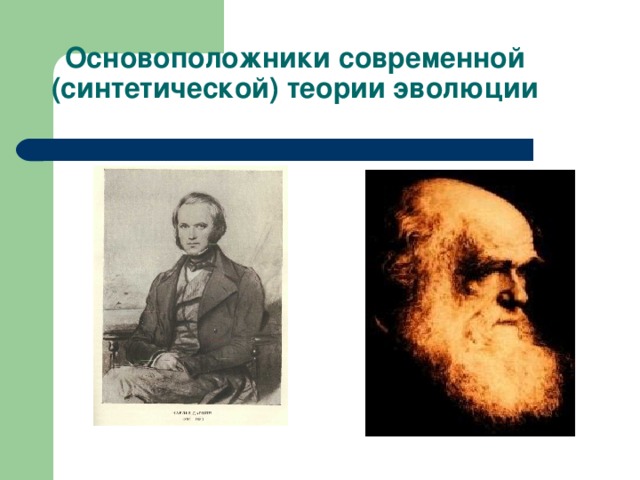 Основоположники современной (синтетической) теории эволюции 