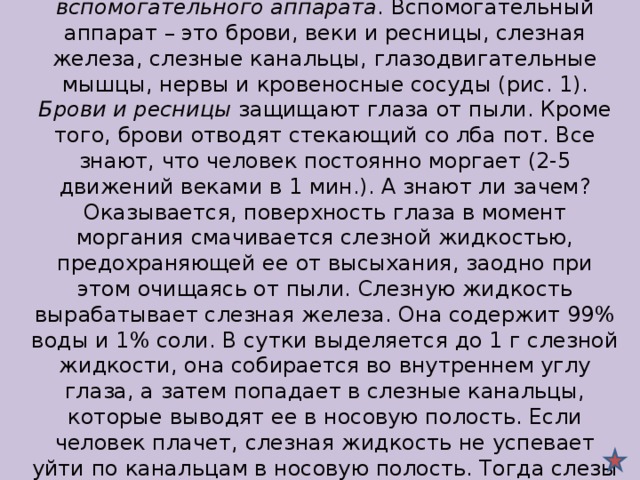 Орган зрения состоит из глазного яблока и вспомогательного аппарата . Вспомогательный аппарат – это брови, веки и ресницы, слезная железа, слезные канальцы, глазодвигательные мышцы, нервы и кровеносные сосуды (рис. 1).  Брови и ресницы защищают глаза от пыли. Кроме того, брови отводят стекающий со лба пот. Все знают, что человек постоянно моргает (2-5 движений веками в 1 мин.). А знают ли зачем? Оказывается, поверхность глаза в момент моргания смачивается слезной жидкостью, предохраняющей ее от высыхания, заодно при этом очищаясь от пыли. Слезную жидкость вырабатывает слезная железа. Она содержит 99% воды и 1% соли. В сутки выделяется до 1 г слезной жидкости, она собирается во внутреннем углу глаза, а затем попадает в слезные канальцы, которые выводят ее в носовую полость. Если человек плачет, слезная жидкость не успевает уйти по канальцам в носовую полость. Тогда слезы перетекают через нижнее веко и каплями стекают по лицу.