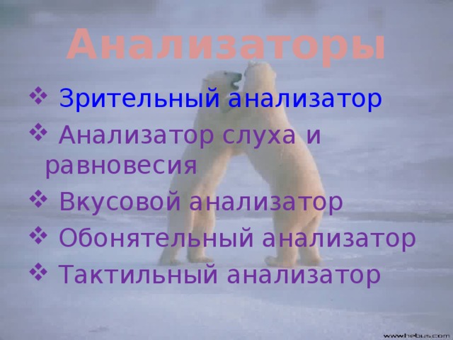 Анализаторы