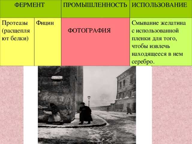ФЕРМЕНТ Протеазы (расщепляют белки) ПРОМЫШЛЕННОСТЬ Фицин ИСПОЛЬЗОВАНИЕ  ФОТОГРАФИЯ Смывание желатина с использованной пленки для того, чтобы извлечь находящееся в нем серебро.