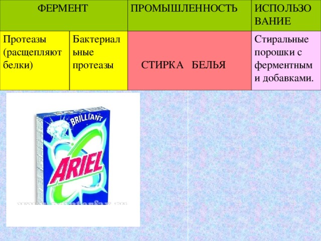 ФЕРМЕНТ Протеазы (расщепляют белки) ПРОМЫШЛЕННОСТЬ Бактериальные протеазы ИСПОЛЬЗОВАНИЕ  СТИРКА БЕЛЬЯ Стиральные порошки с ферментными добавками.