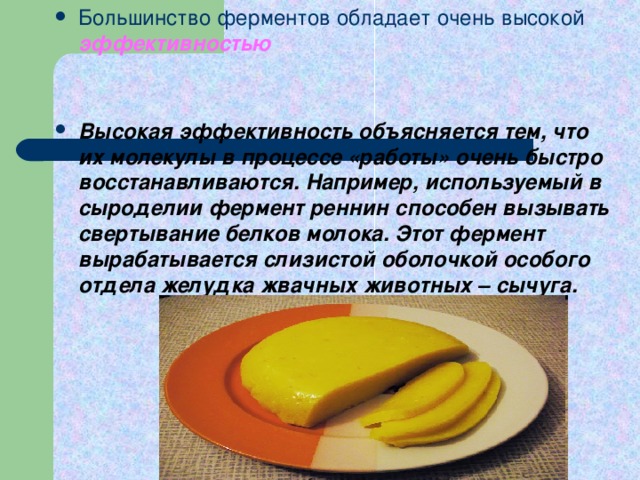 Большинство ферментов обладает очень высокой эффективностью  Высокая эффективность объясняется тем, что их молекулы в процессе «работы» очень быстро восстанавливаются. Например, используемый в сыроделии фермент реннин способен вызывать свертывание белков молока. Этот фермент вырабатывается слизистой оболочкой особого отдела желудка жвачных животных – сычуга.